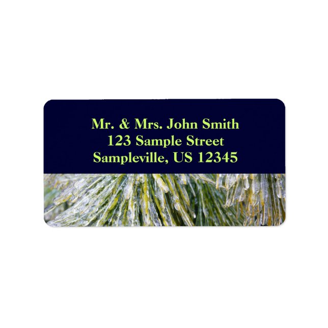 Ice Coated Pine Needles Winter Botanical Label (Front)