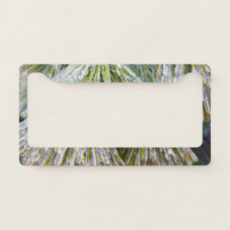 Ice Coated Pine Needles Winter Botanical License Plate Frame