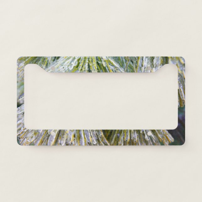 Ice Coated Pine Needles Winter Botanical License Plate Frame (Front)