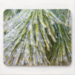 Ice Coated Pine Needles Winter Botanical Mouse Pad