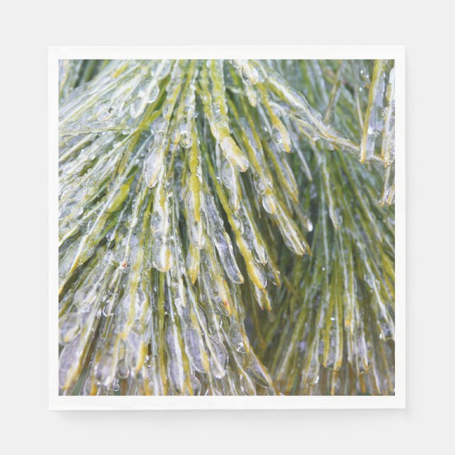 Ice Coated Pine Needles Winter Botanical Napkins (Front)