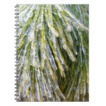 Ice Coated Pine Needles Winter Botanical Notebook