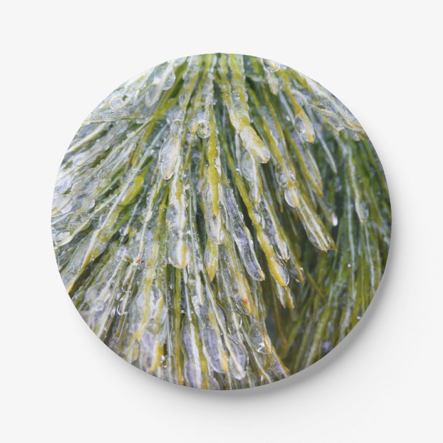 Ice Coated Pine Needles Winter Botanical Paper Plates (Front)