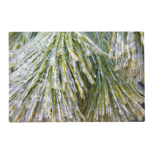 Ice Coated Pine Needles Winter Botanical Placemat (Front)