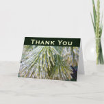 Ice Coated Pine Needles Winter Botanical Thank You Card