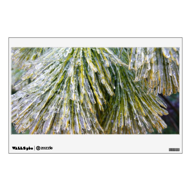 Ice Coated Pine Needles Winter Botanical Wall Decal (Front)