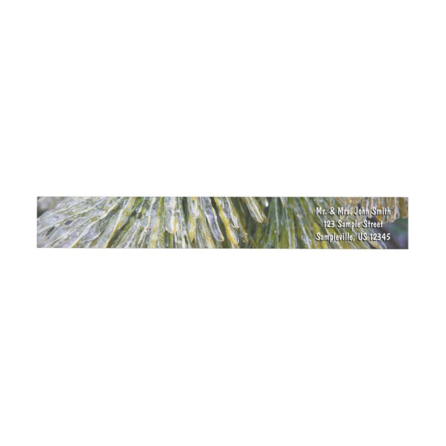 Ice Coated Pine Needles Winter Botanical Wrap Around Label (Individual)