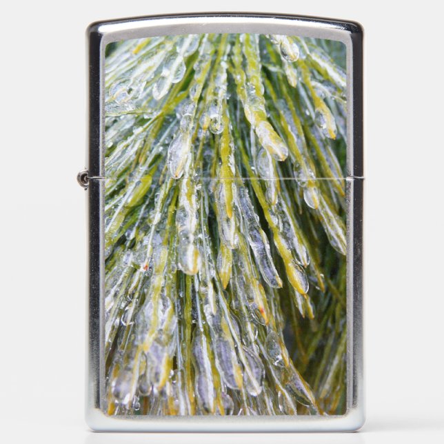 Ice Coated Pine Needles Winter Botanical Zippo Lighter (Front)