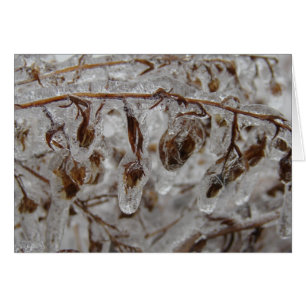 Ice Coating Cards