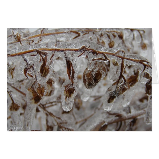 Ice Coating Cards (Front Horizontal)