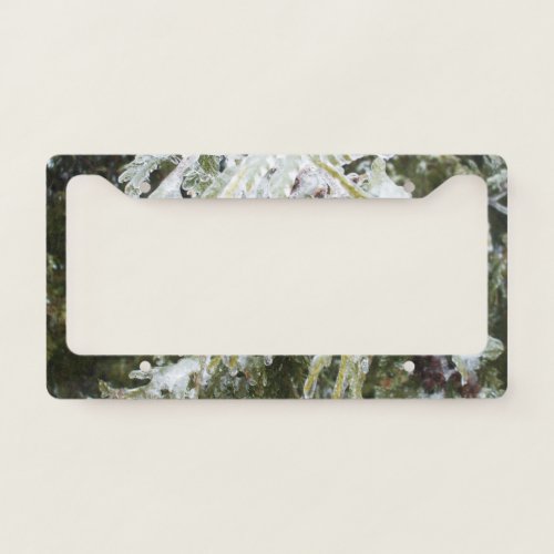 Ice Covered Cedar Branch License Plate Frame