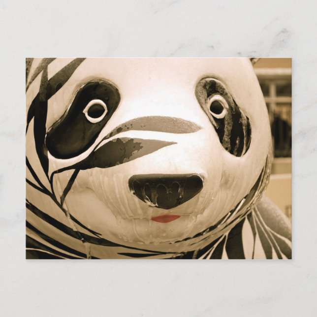 Ice Covered Panda Sepia Postcard (Front)