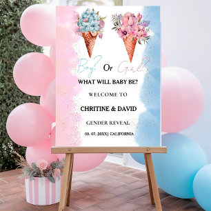 Ice Cream Boy Or Girl Gender Reveal Welcome Sign