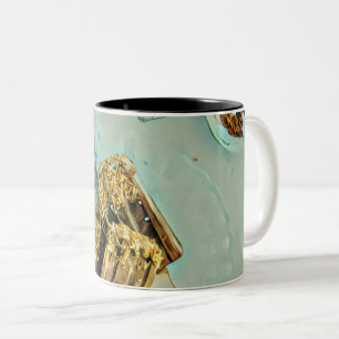 Ice cream cake Two-Tone coffee mug