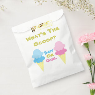 Ice Cream Gender Reveal Favor Bag