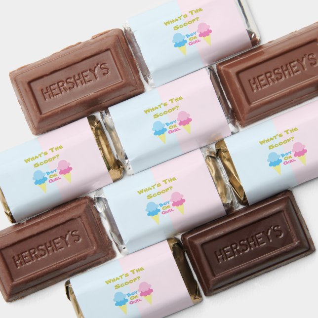 Ice Cream Gender Reveal Hershey's Miniatures (Assorted)