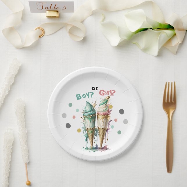 Ice Cream Gender Reveal Party Invitation Paper Plates (Wedding)