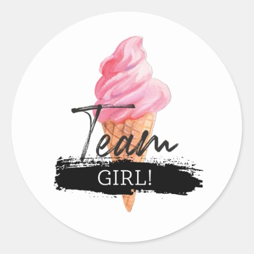 Ice Cream Gender Reveal _ Team Girl Stickers