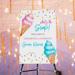 Ice cream gender reveal welcome sign