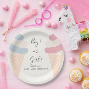 Ice Cream Pastel Color Boy Or Girl Gender Reveal Paper Plates