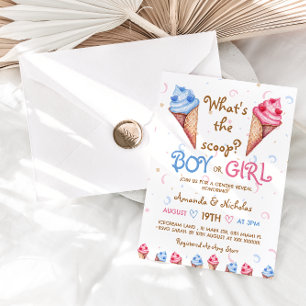 Ice Cream Pink Blue Summer Gender Reveal Invitation