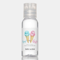 Ice Cream Pink or Blue Gender Reveal Party