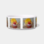 Ice Cream Sundae custom pet bowls<br><div class="desc">Photo taken by me in 2013. See my store for more items with this picture.</div>