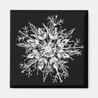 Ice crystal snowflake