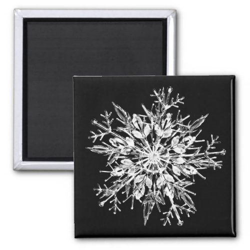 Ice crystal snowflake magnet