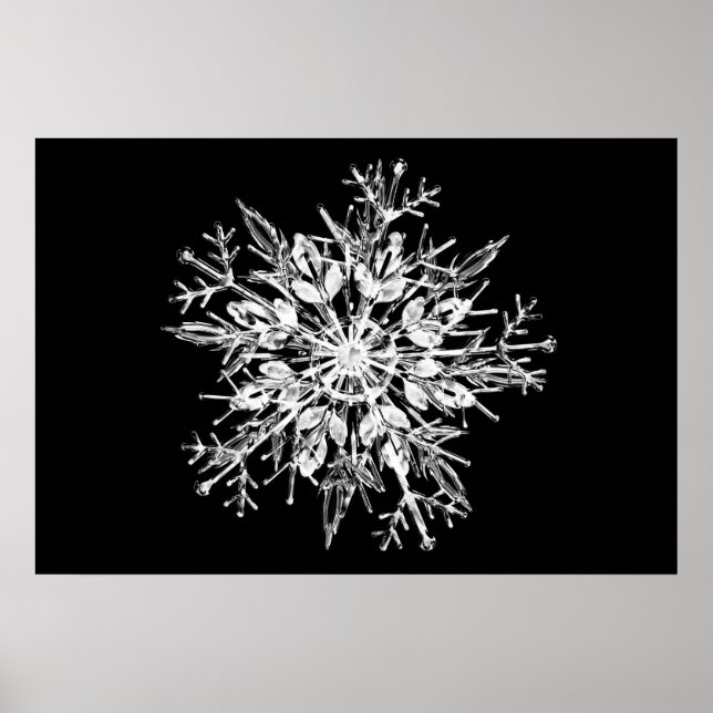 Ice crystal snowflake poster (Front)