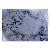 Ice crystals (Front Horizontal)