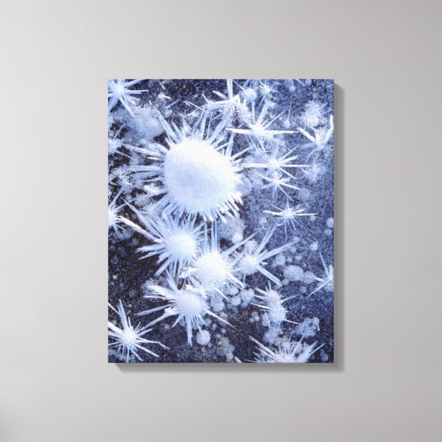 Ice crystals in the Sierra Canvas Print (Front)