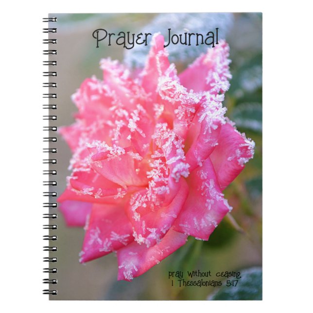 Ice Crystals Rose in Pink Prayer Journal (Front)