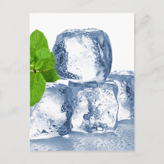 Ice cube cool yourself postcard (Front)