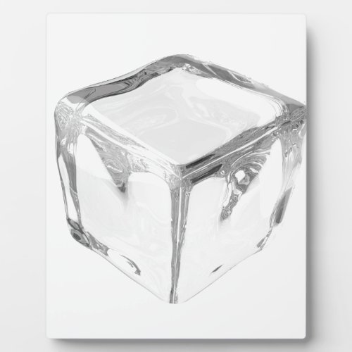 Ice cube plaque