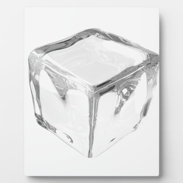 Ice cube plaque (Front)