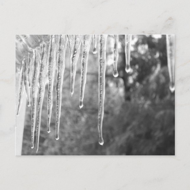 Ice Cycles Postcard (Front)