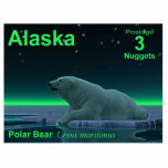 Ice Edge Polar Bear - Alaska Postage Cutout<br><div class="desc">Another in the series of postage stamps for an independent Alaska. A peaceful moment in the long Arctic night. A Polar Bear rests at the edge of an open area in the pack ice. The Northern Lights glow in the distance; bright stars twinkle overhead. Text reading "Alaska, " "Postage 3...</div>