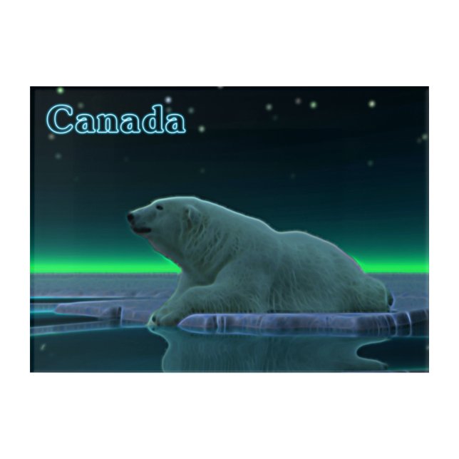 Ice Edge Polar Bear - Canada Acrylic Print (Front)