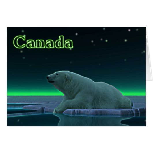 Ice Edge Polar Bear Cards (Front Horizontal)