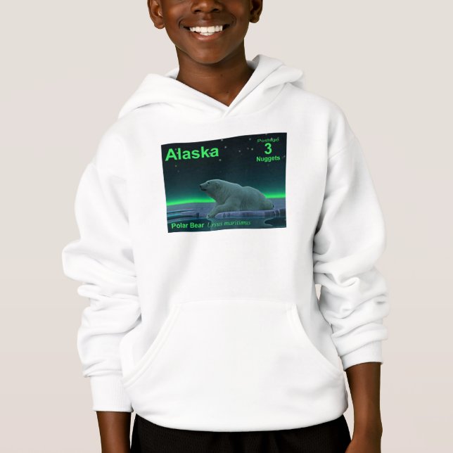 Ice Edge Polar Bear Hoodie (Front)