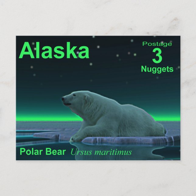 Ice Edge Polar Bear Postcard (Front)