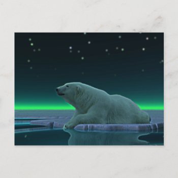 Ice Edge Polar Bear Postcard by Bluestar48 at Zazzle