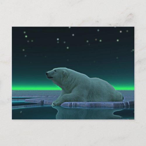 Ice Edge Polar Bear Postcard