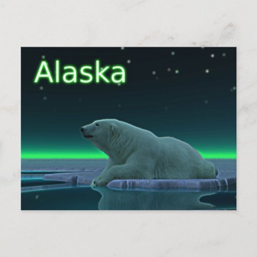 Ice Edge Polar Bear Postcard