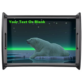 Ice Edge Polar Bear
