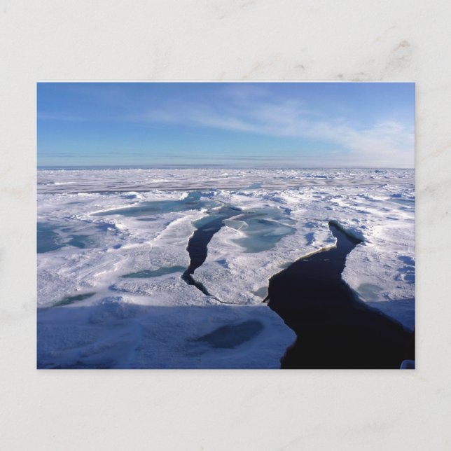 Ice fields in the Arctic Ocean Postcard (Front)