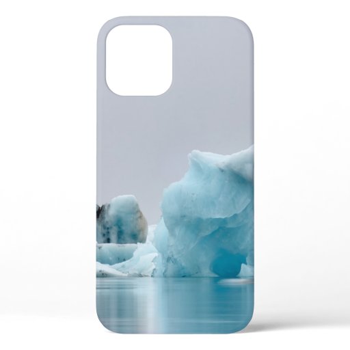 ICE FIGURE NEAR BODY OF WATER iPhone 12 CASE