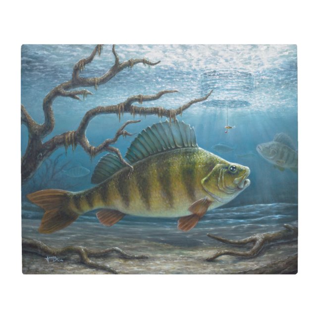Ice Fishing for Perch Metal Print (Front)