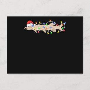 Ice fishing Muskie Christmas Musky Funny Santa Postcard